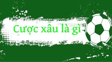 Cược xâu là gì? 