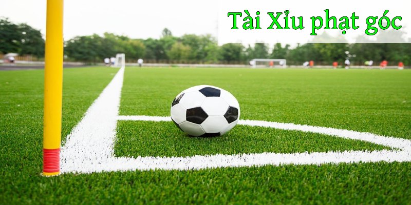 Tài Xỉu phạt góc được hiểu như thế nào? 