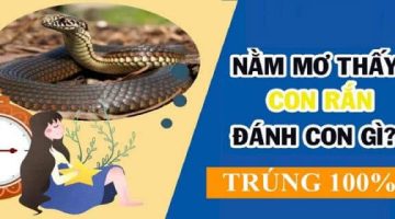 Nằm mơ thấy rắn hổ mang đánh con gì? Mơ báo hiệu điều gì?