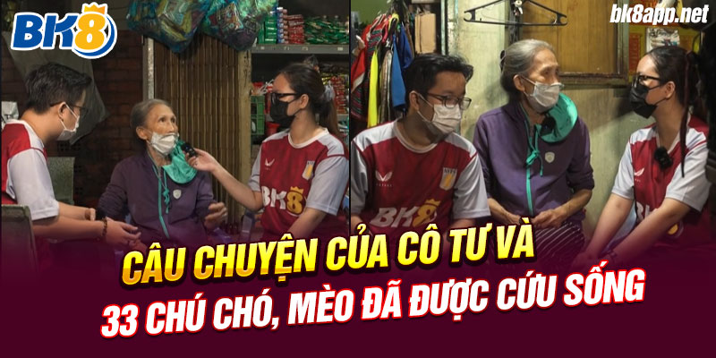 Câu chuyện của cô Tư và 33 chú chó, mèo đã được cứu sống